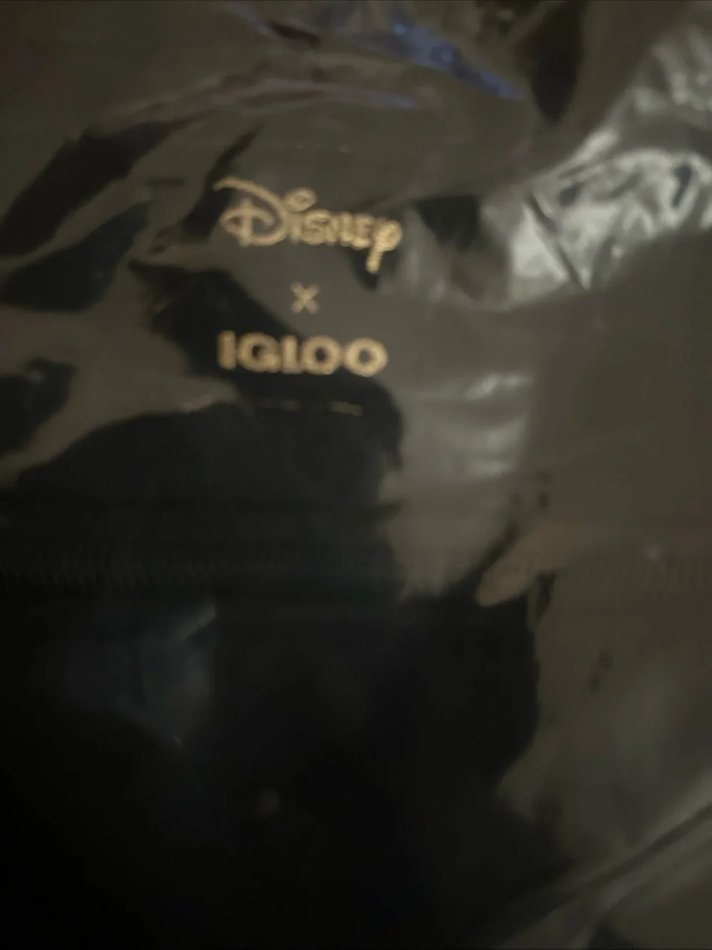 Igloo Disney Black Dual Compartment Tote with Mickey New